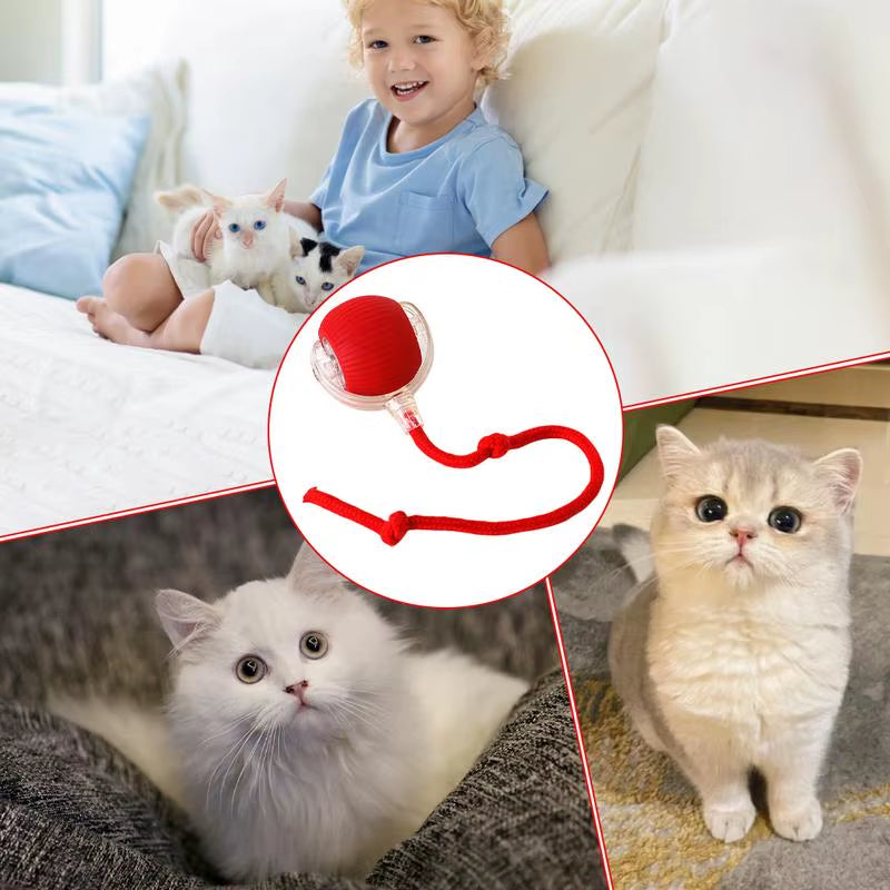 Cat Interactive Ball Toys Cat Ball Toy Automatic Rolling Fake Tail Ball Smart Pet Toy Pet Interactive Toys for Indoor Playing