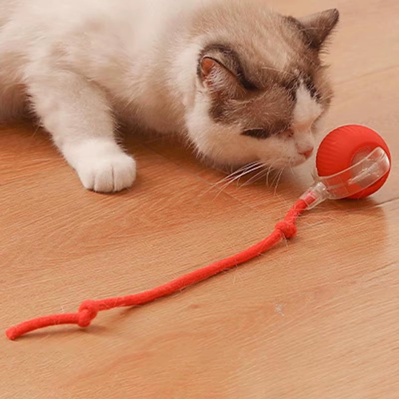 Cat Interactive Ball Toys Cat Ball Toy Automatic Rolling Fake Tail Ball Smart Pet Toy Pet Interactive Toys for Indoor Playing