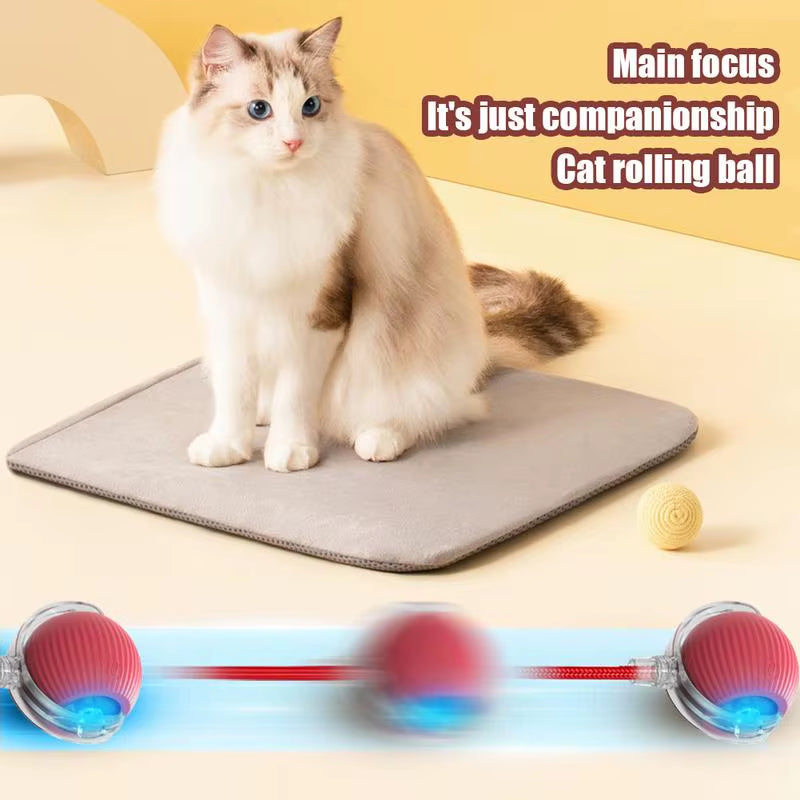 Cat Interactive Ball Toys Cat Ball Toy Automatic Rolling Fake Tail Ball Smart Pet Toy Pet Interactive Toys for Indoor Playing